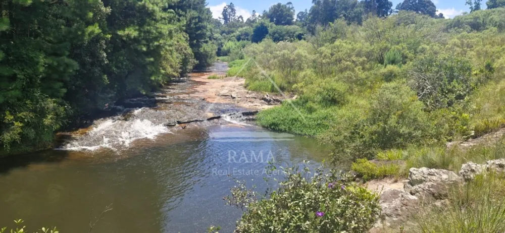 Sítio / Chácara para Venda no bairro Av dos Pioneiros em Carambeí
