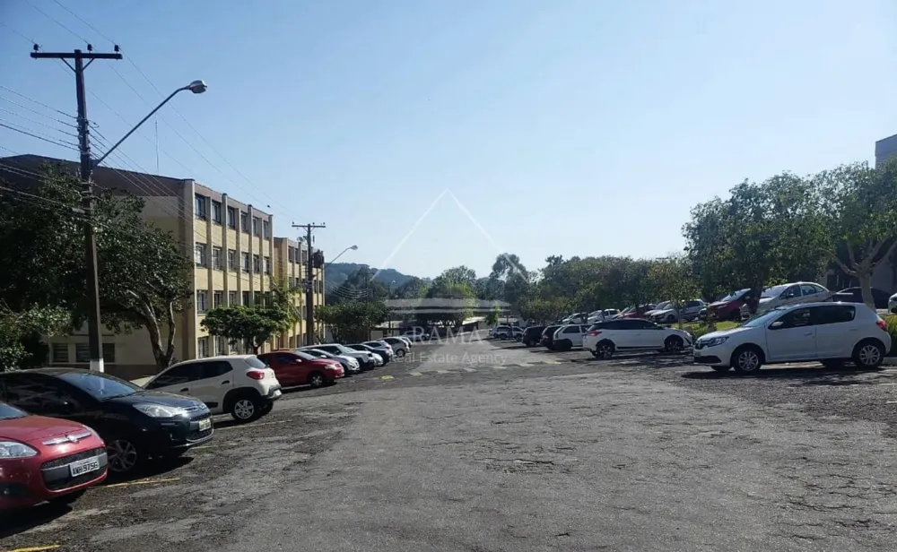 Apartamento Amplo e Atualizado no Residencial Monteiro Lobato