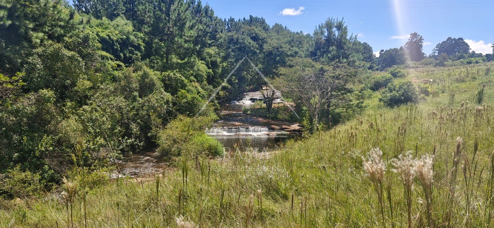 Sítio / Chácara para Venda no bairro Av dos Pioneiros em Carambeí