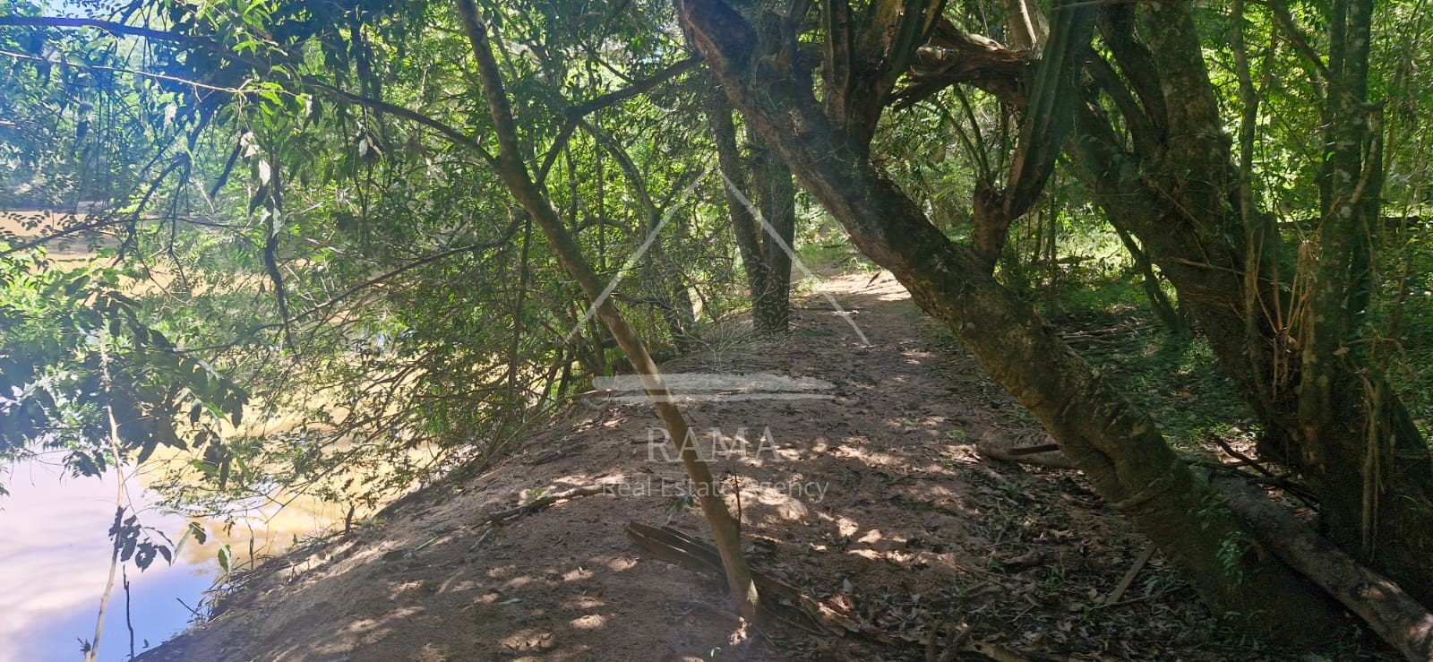Sítio / Chácara para Venda no bairro Av dos Pioneiros em Carambeí