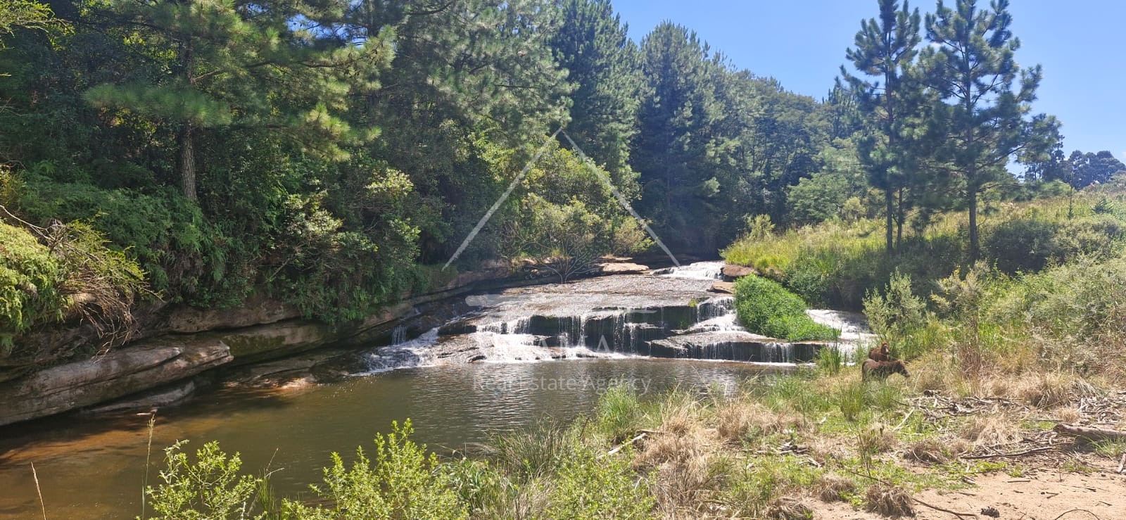 Sítio / Chácara para Venda no bairro Av dos Pioneiros em Carambeí