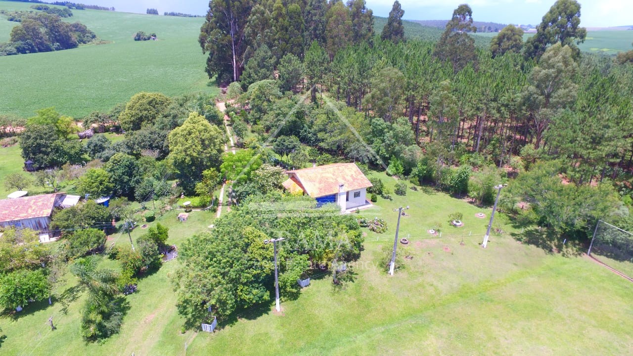 Sítio / Chácara para Venda no bairro Av dos Pioneiros em Carambeí