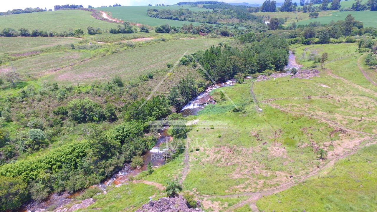 Sítio / Chácara para Venda no bairro Av dos Pioneiros em Carambeí