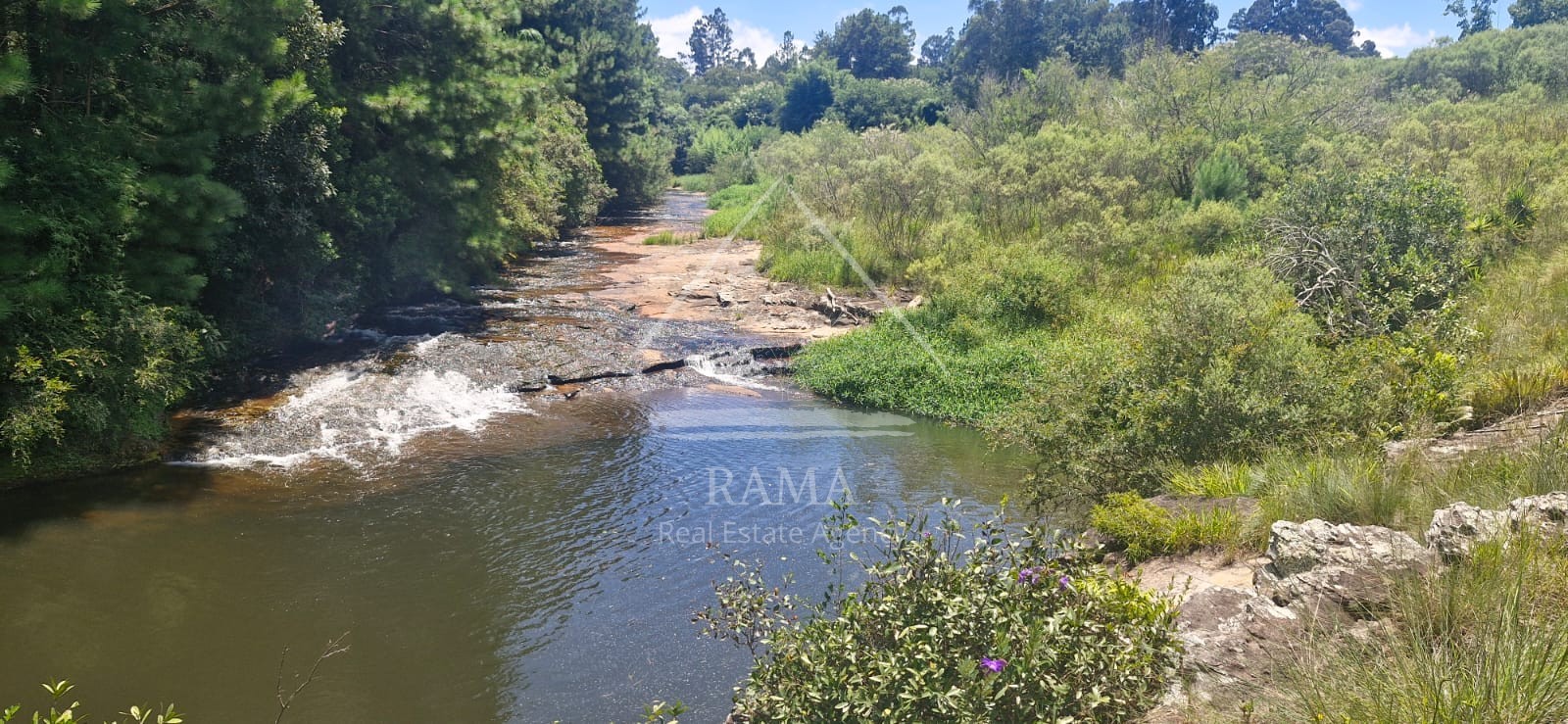 Sítio / Chácara para Venda no bairro Av dos Pioneiros em Carambeí