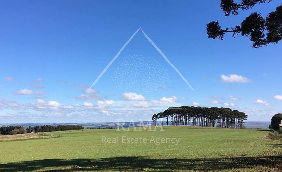 Sítio / Chácara para Venda no bairro Av dos Pioneiros em Carambeí
